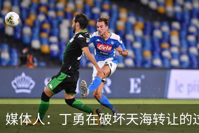 媒体人：丁勇在破坏天海转让的过程中曾拉刘奕下水