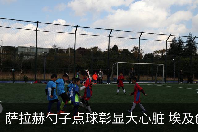 萨拉赫勺子点球彰显大心脏 埃及创造多项历史晋级16强