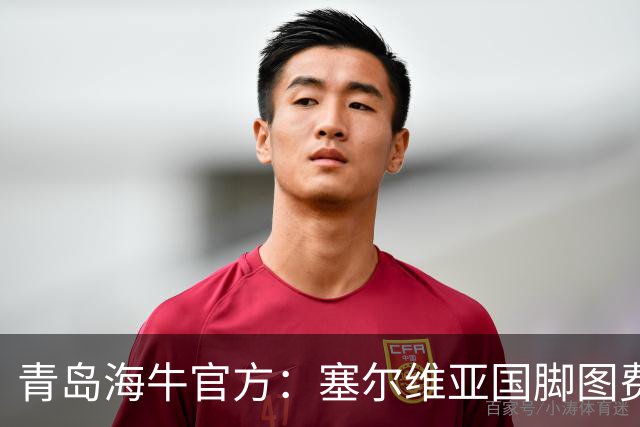 青岛海牛官方：塞尔维亚国脚图费格季奇加盟球队